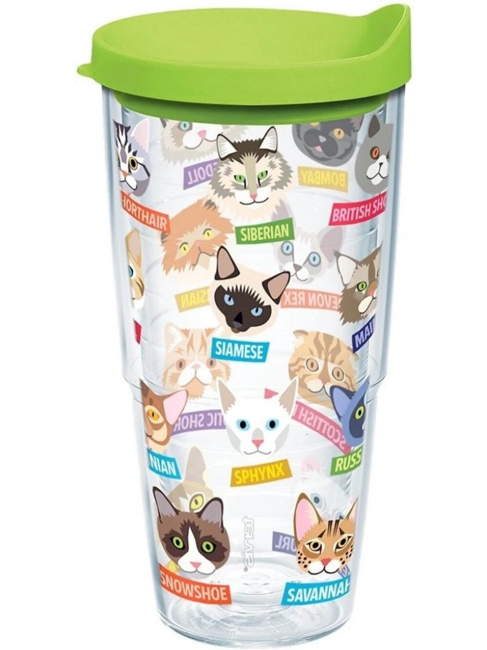 Tervis Flat Art Cats Made In Usa Double Walled Insulated Tumbler Travel Cup